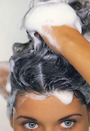 Image Image